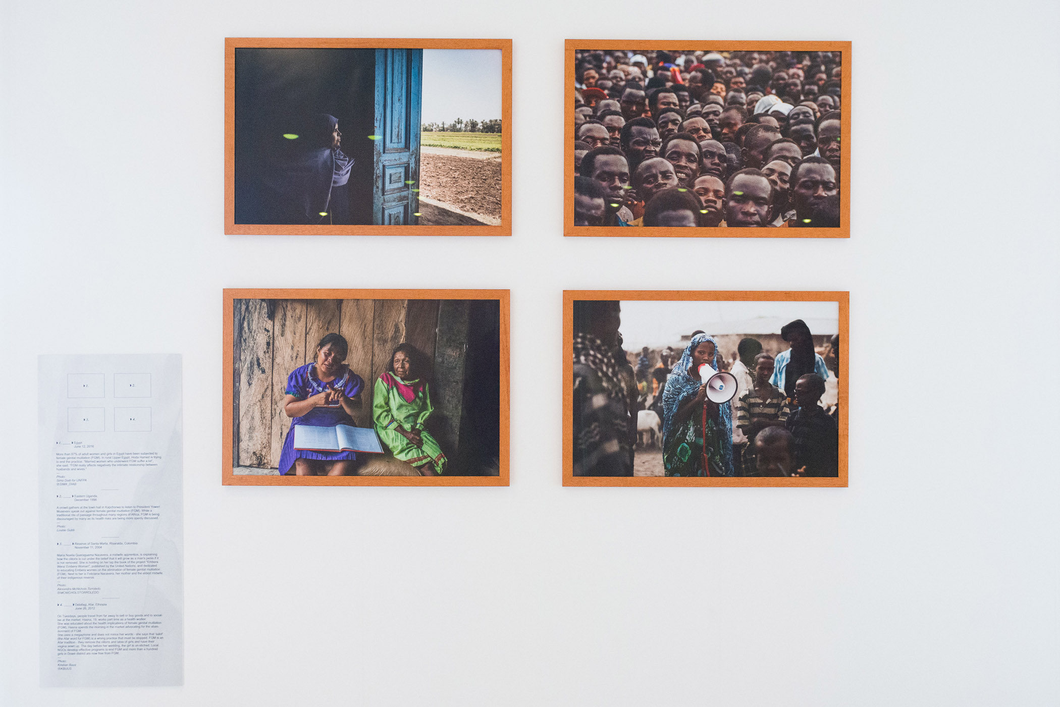 “Female Genital Mutilation: 68 Million Girls at Risk.”