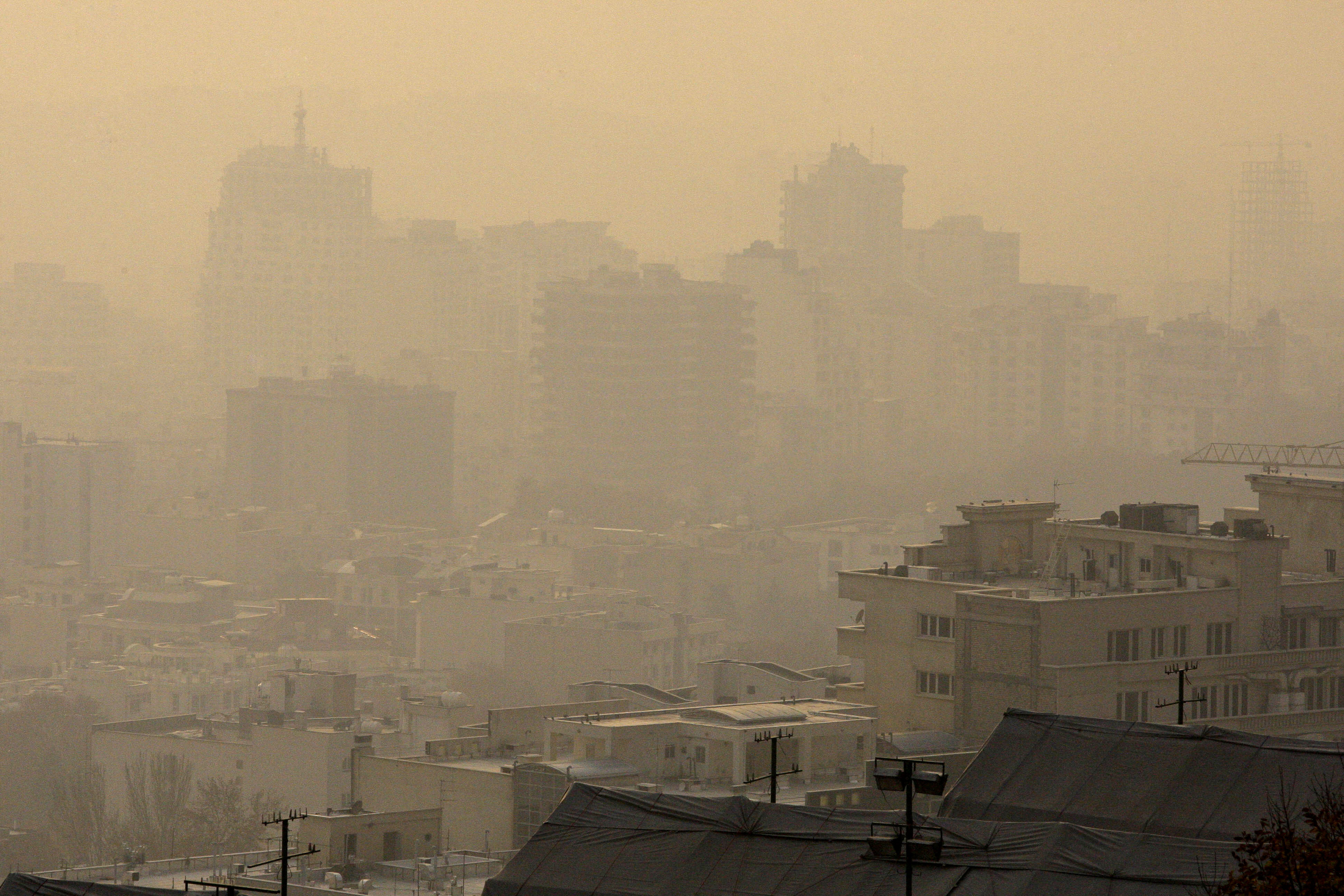 Hundreds Die, Schools Close as Tehran’s Air Pollution Reaches New Extremes