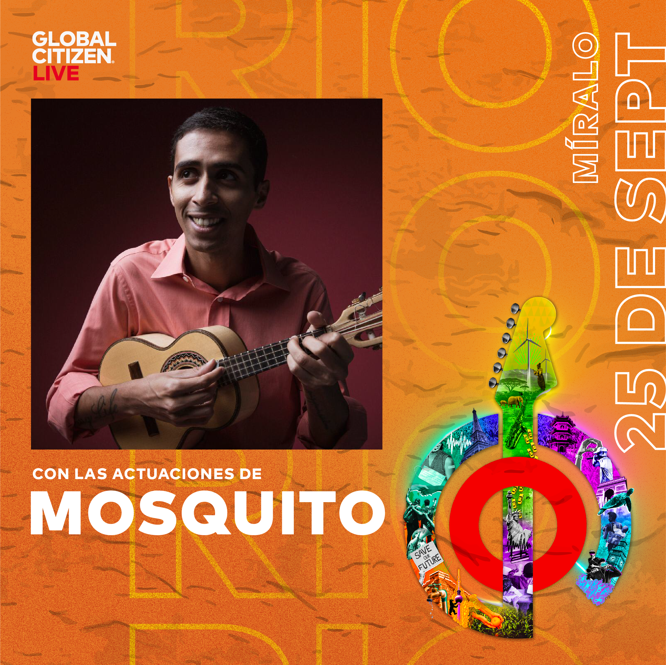 Mosquito desde Brasil