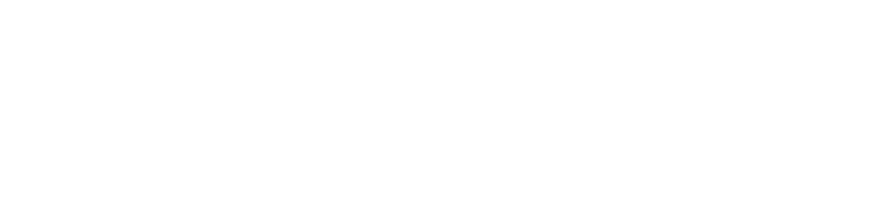 Global Citizen Festival: NYC 2026 Partners