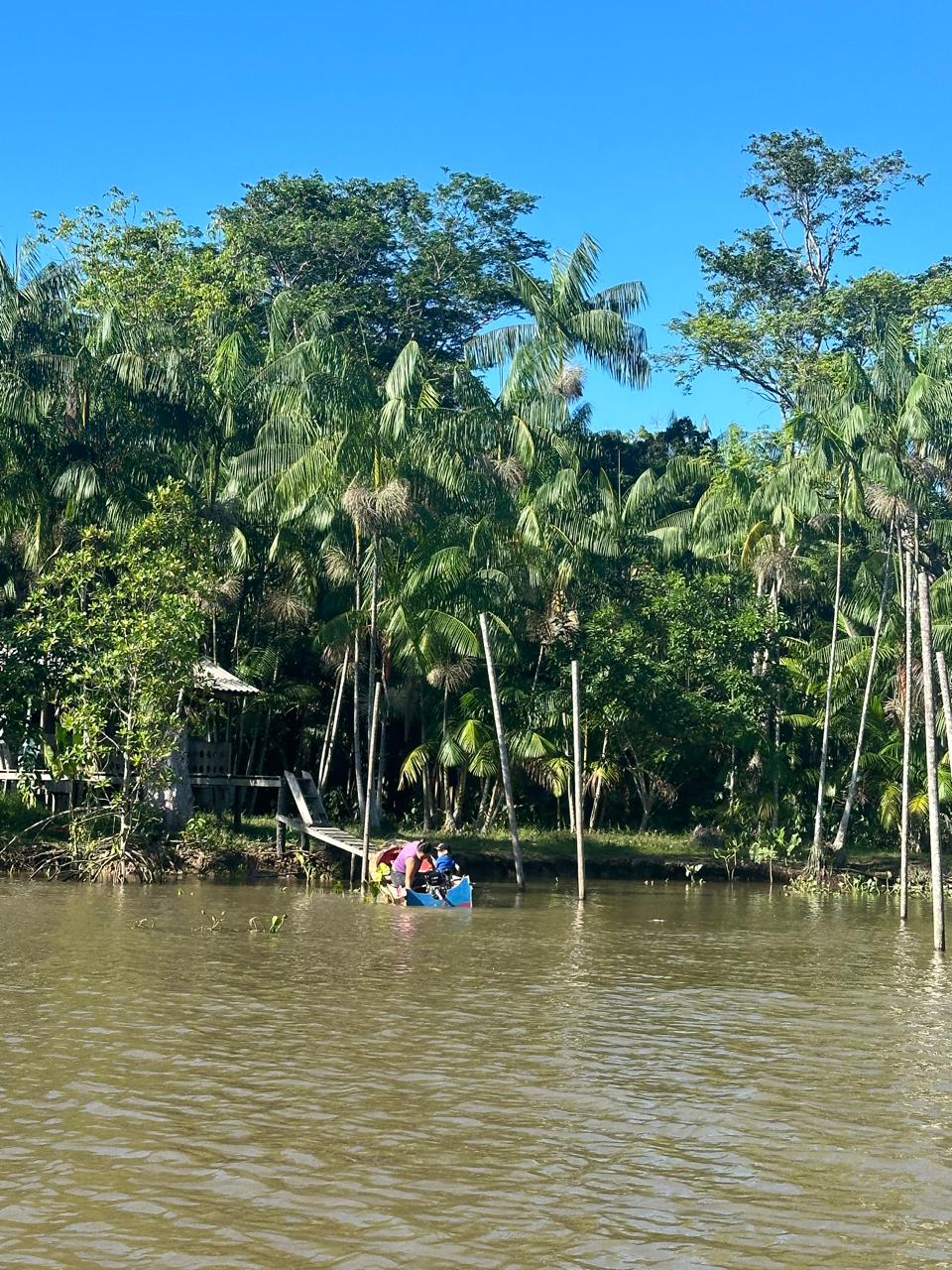Riverine communities in Pará rely on the Amazon’s waterways to harvest and transport açaí, often travelling long distances to access markets and basic services. Image: Supplied