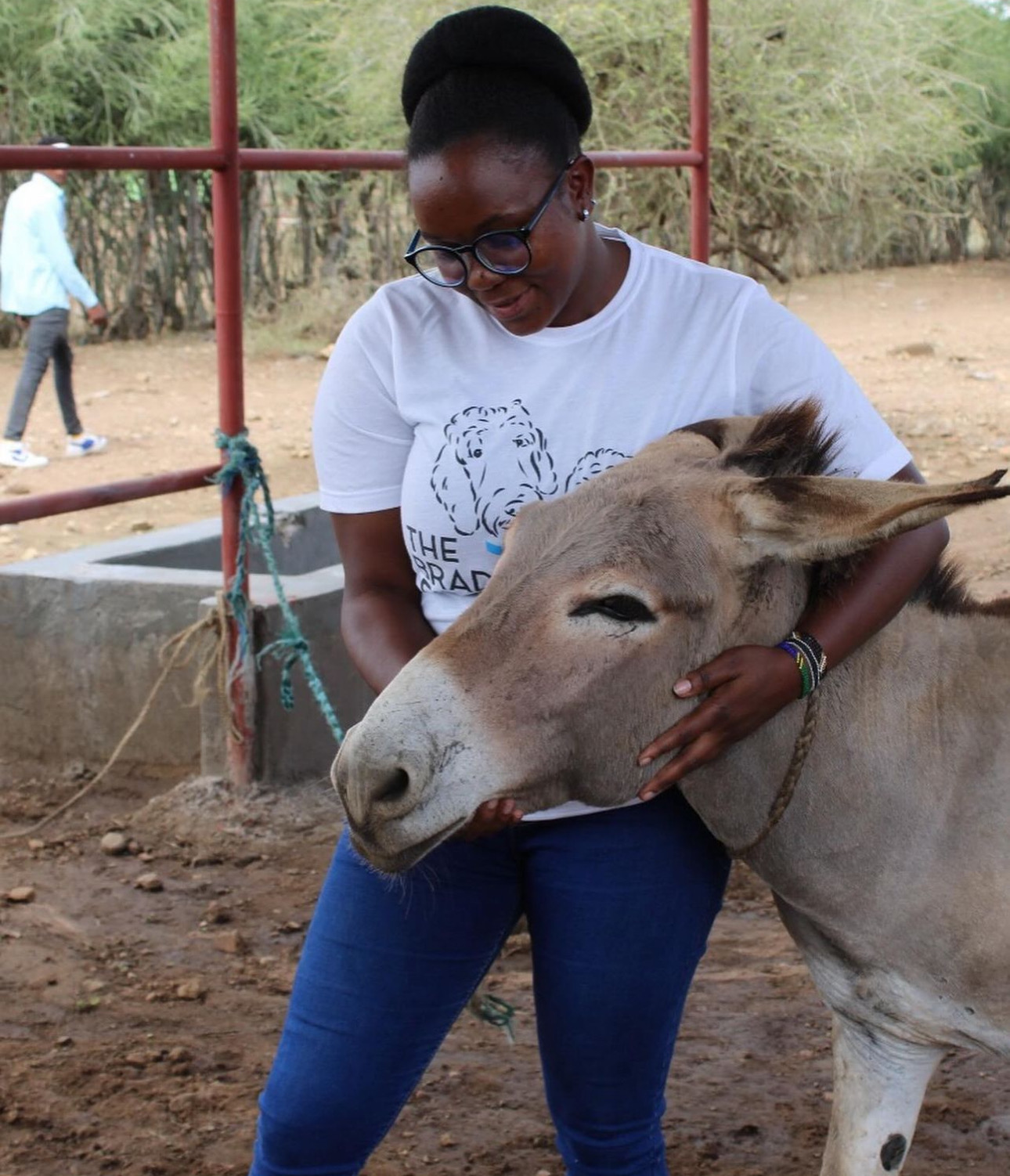 Three shelters with water installations at Migroine Market provide essential relief and respite to approximately 1,000 overburdened donkeys.