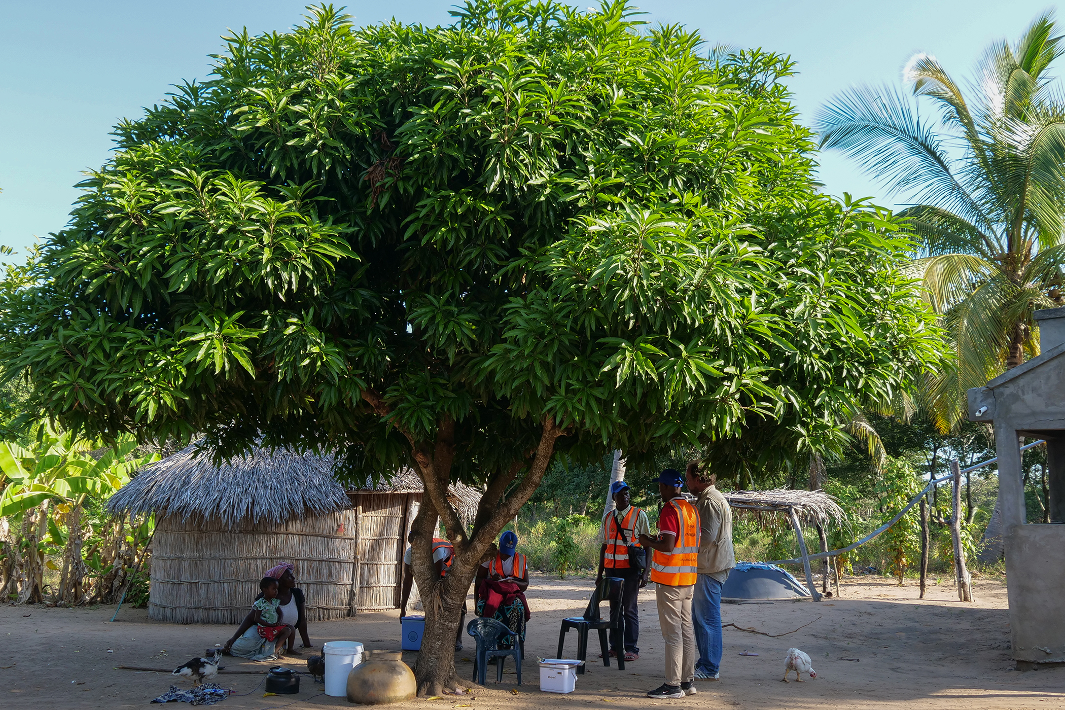 Mozambique Immunizations Image 2