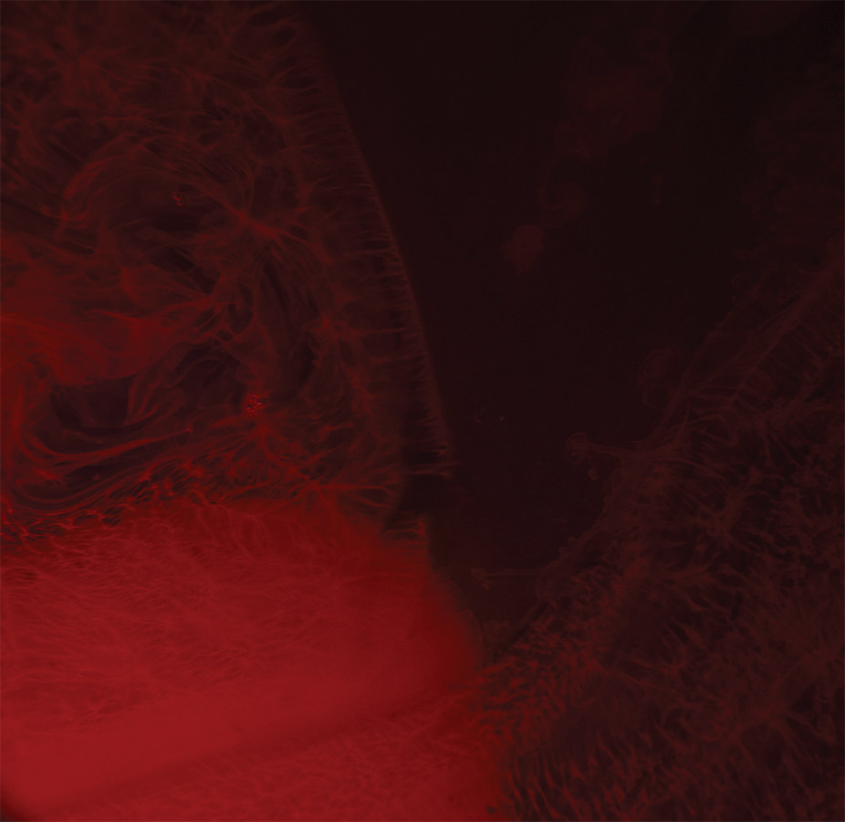 Period Pain to Empowerment