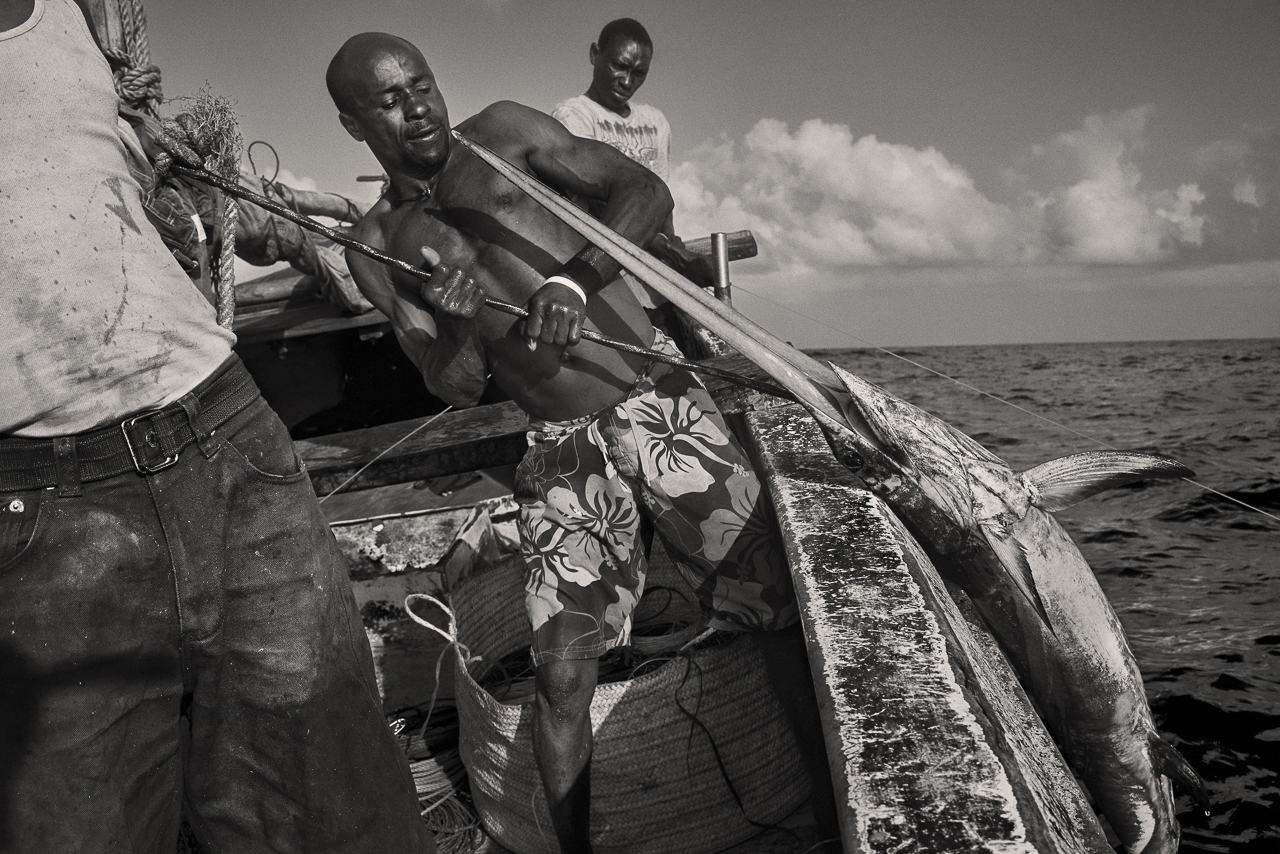 “Six Degrees South“, 2016-2017