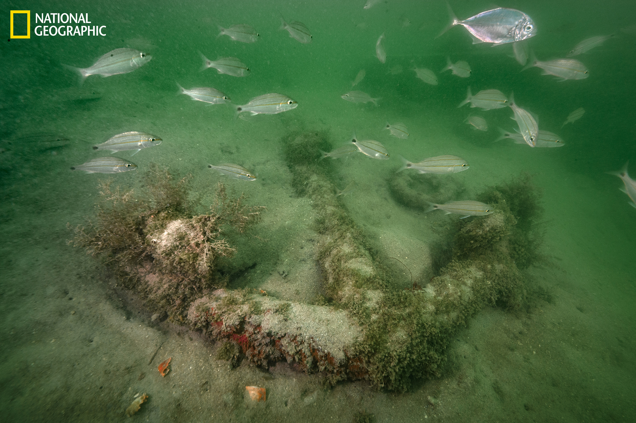 “Into The Depths”