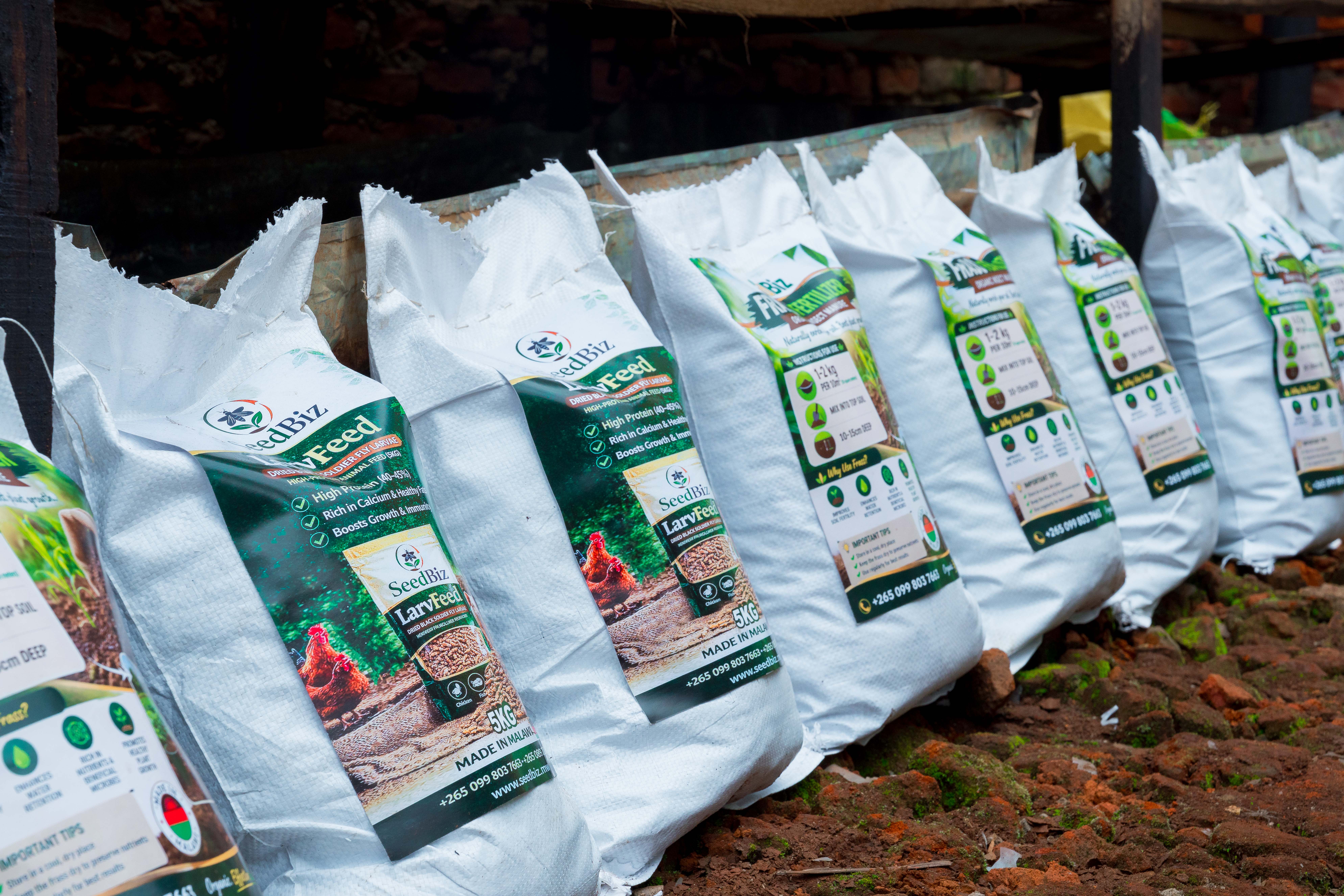 SeedBiz’s insect-based livestock feed is helping farmers in Malawi reduce costs while turning organic waste into valuable agricultural products. Image: Robert Edward Phiri for Global Citizen