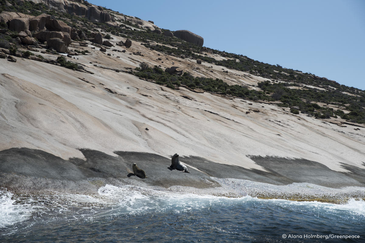 Great Australian Bight.