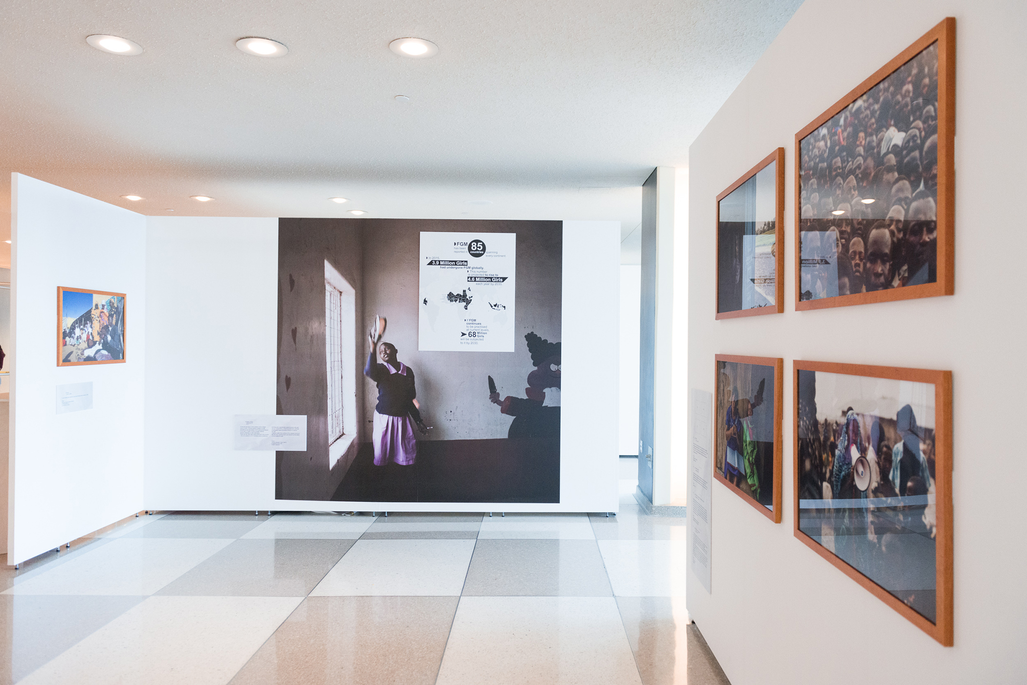 “Female Genital Mutilation: 68 Million Girls at Risk.”