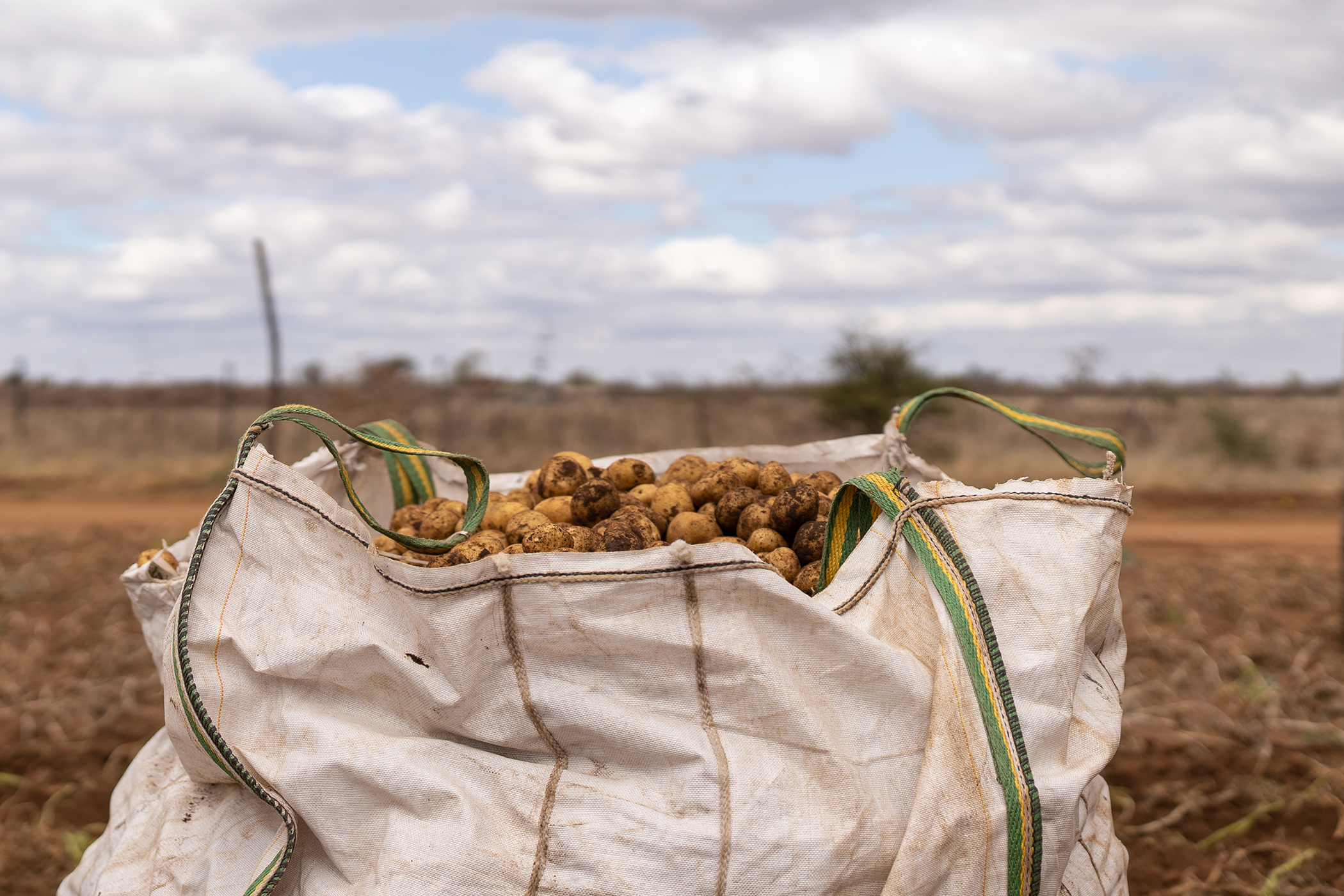 Farming on the Frontlines