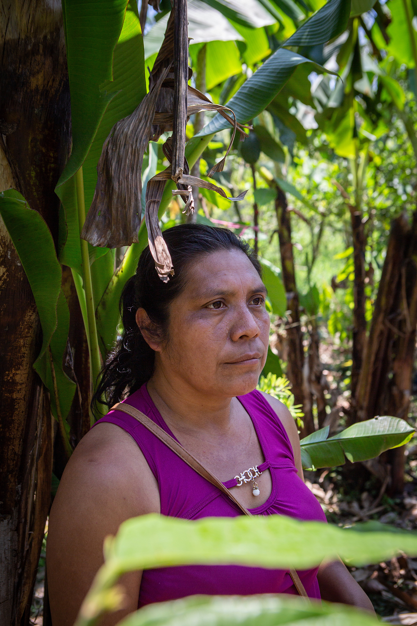 Farming on the Frontlines