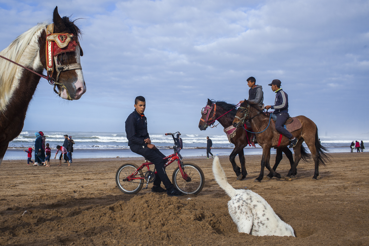 "Casablanca Not the Movie", 2014-2018