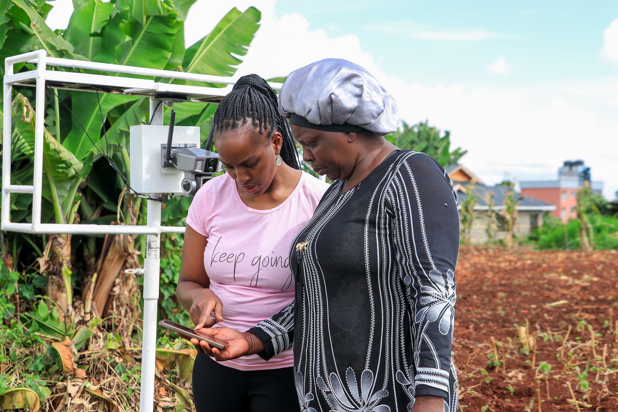 Farmers receive instant SMS alerts when pests are detected, allowing for faster and more targeted responses. Image: John Kunga for Global Citizen