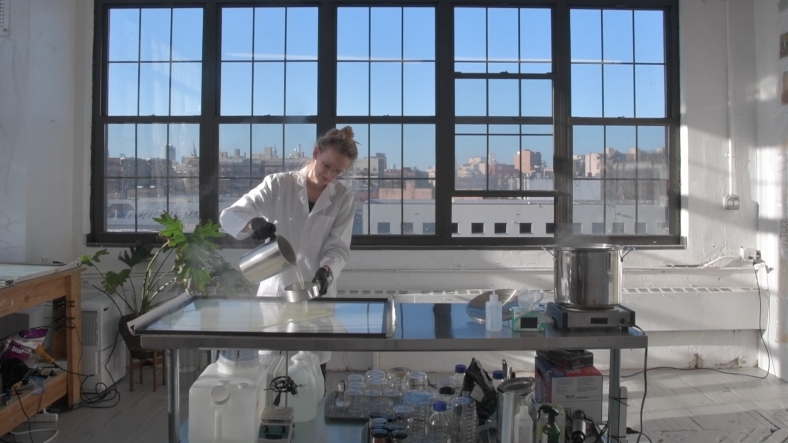 Credit: Charlotte McCurdy