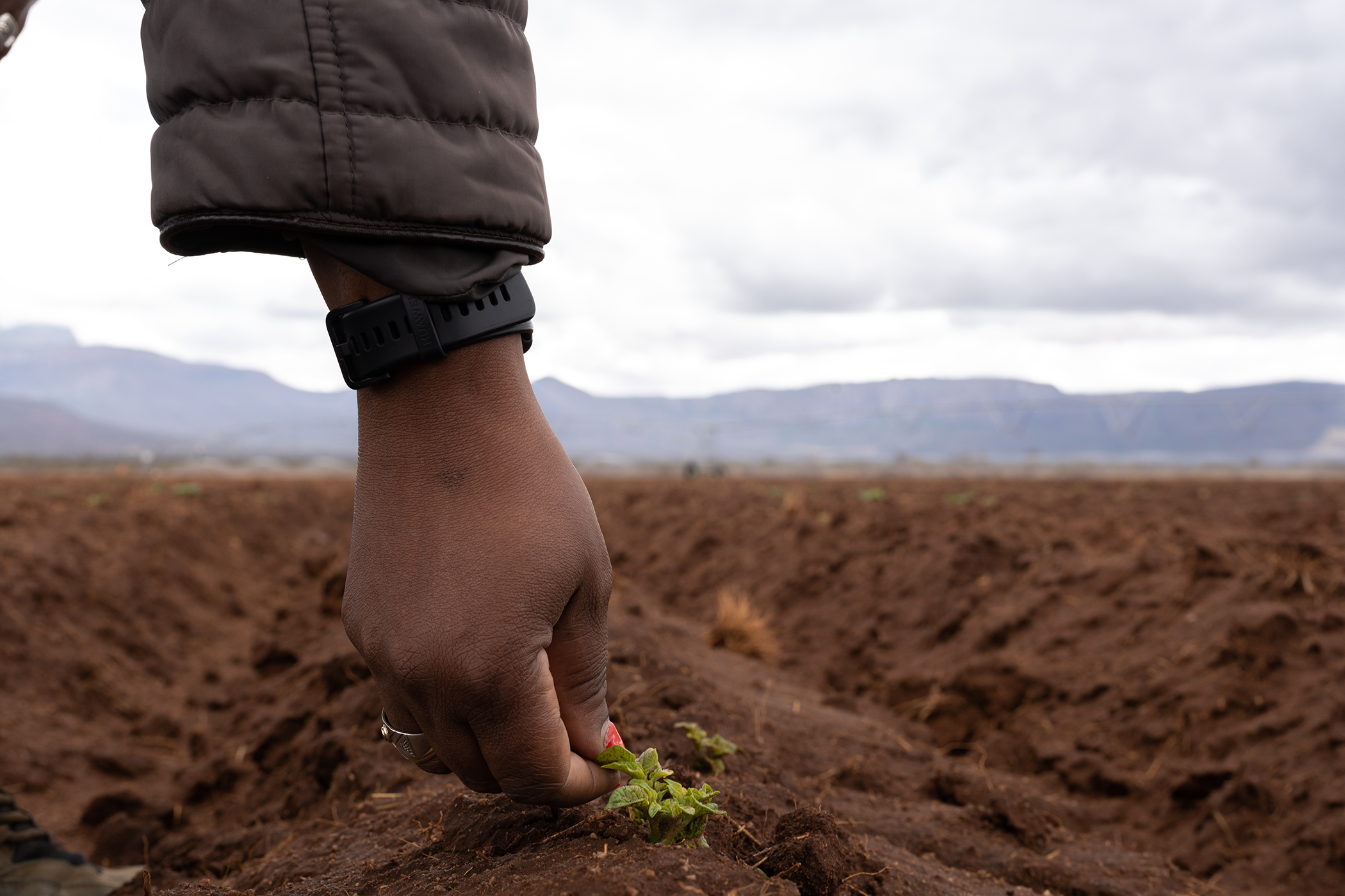 Farming on the Frontlines