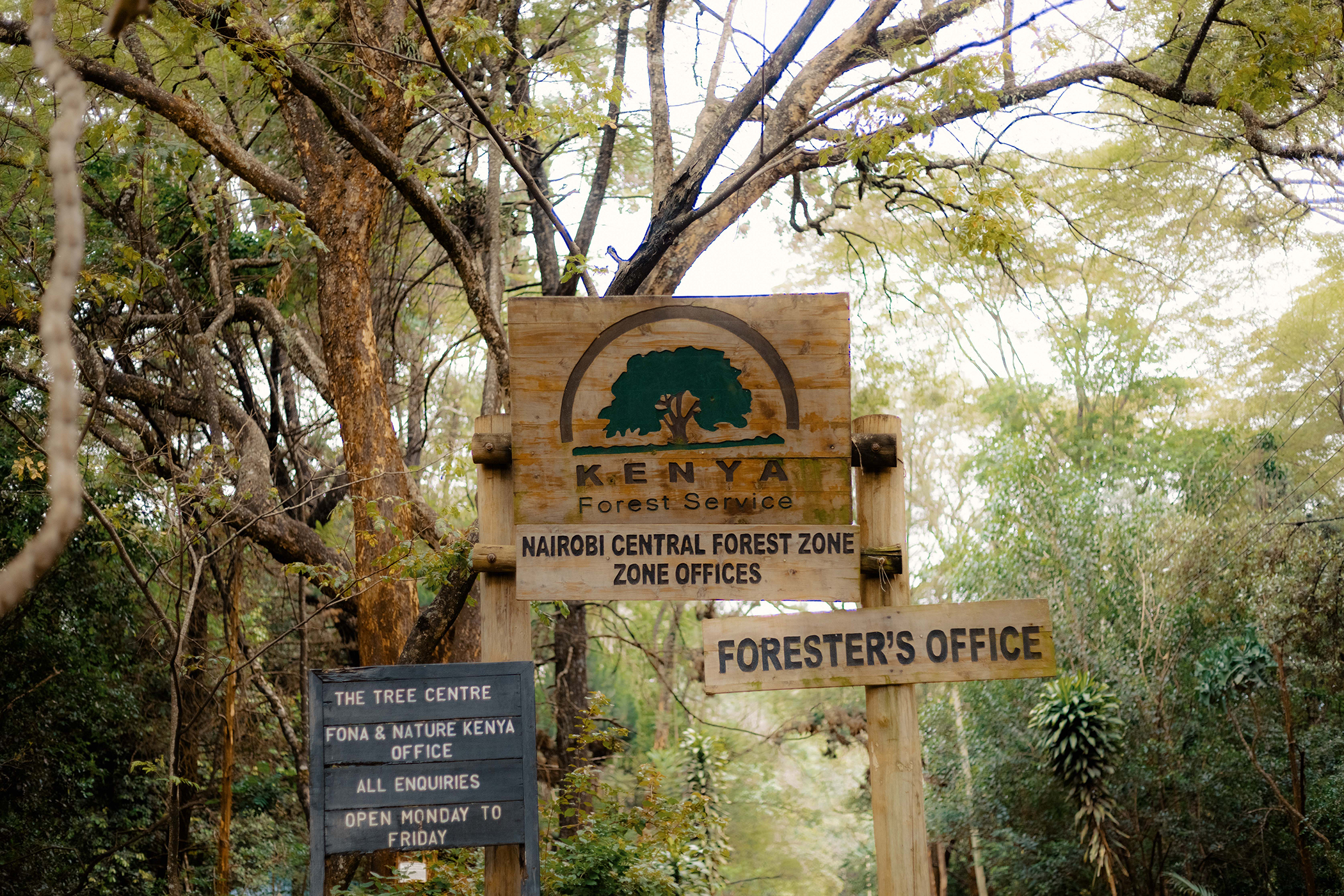 Winnie Cheche photographed at the Nairobi Arboretum.