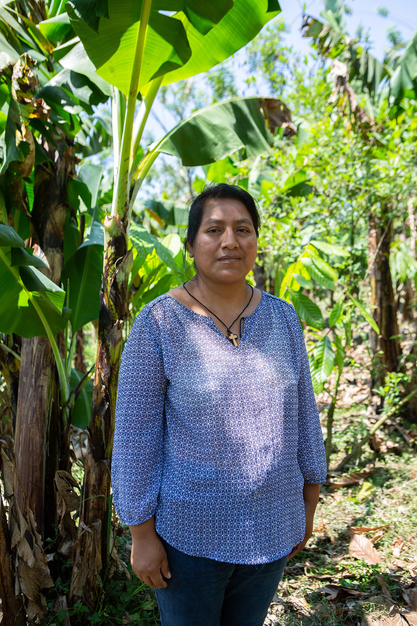 Farming on the Frontlines