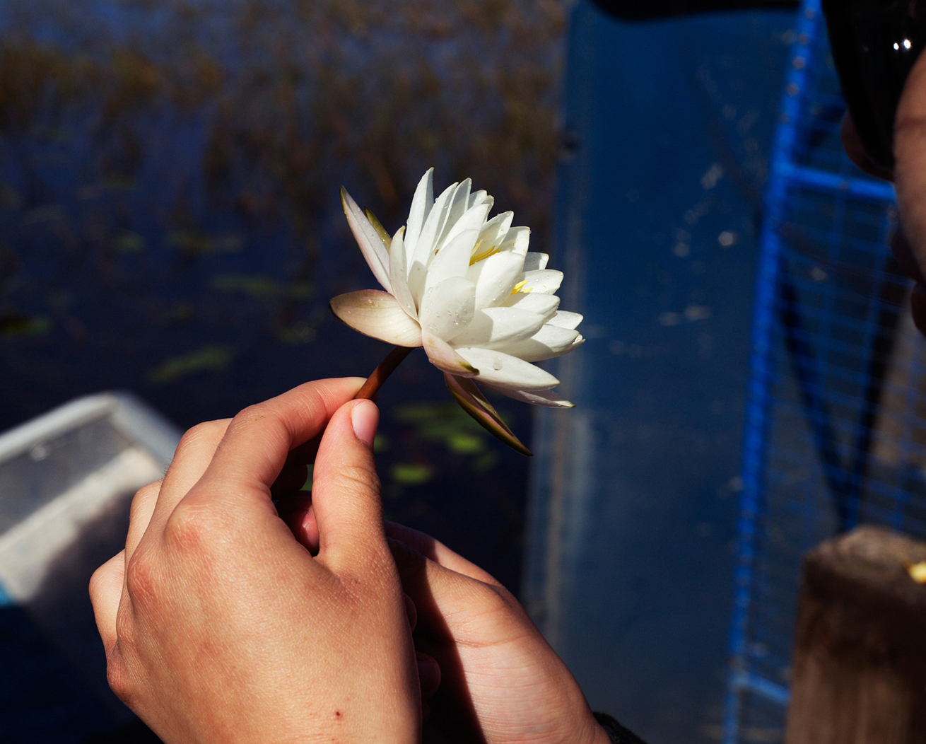 If Not Us Then Who? Prints for Communities