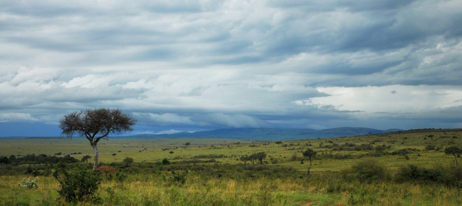 How Weather Forecasts Are Changing Lives in Kenya and Tanzania