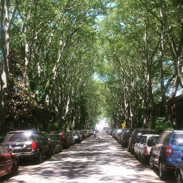 what-can-we-learn-from-trees-more-than-you-might-think