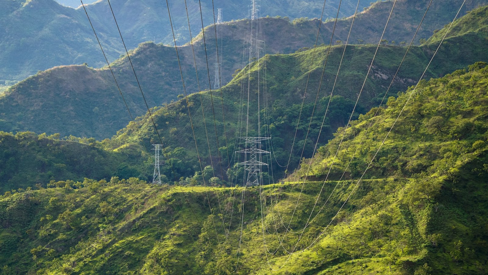 India's Using Food Leftovers to Make Green Electricity 1