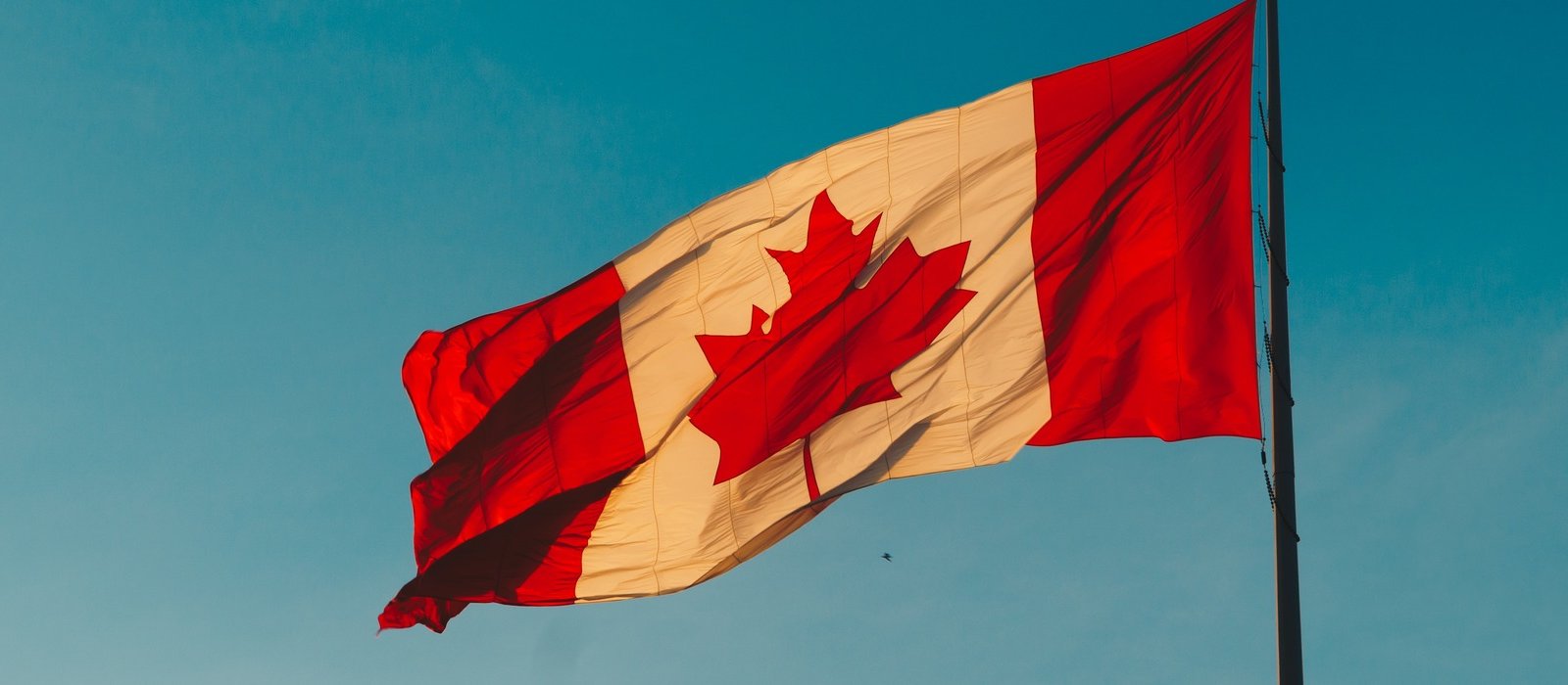 Canada S Next Elected Leaders Let S Be Global Citizens