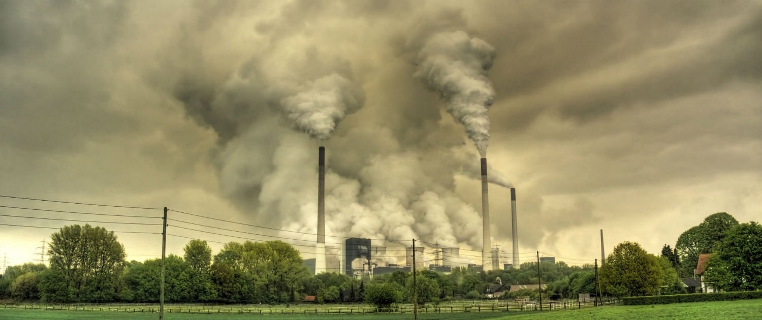 Грязное поле с мусором. Растения на загрязненной почве. Сельское хозяйство загрязнение. Что загрязняет поле. Экологические проблемы луганщины.