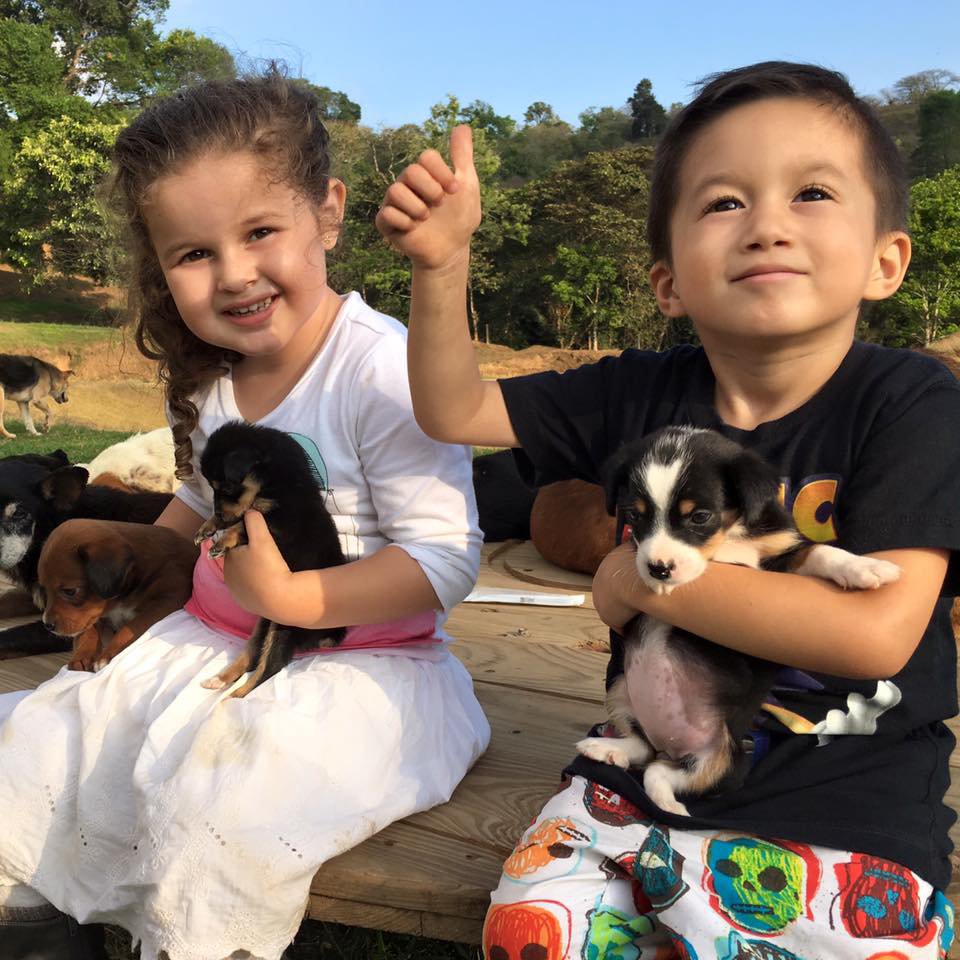 This stray dog paradise in Costa Rica is the ultimate zoo