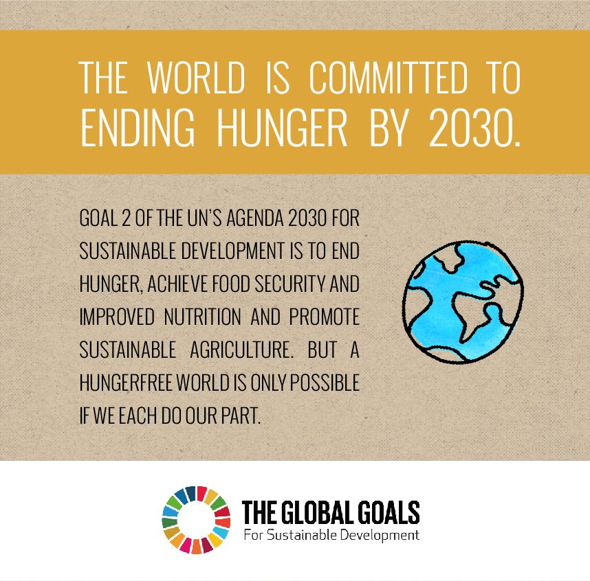 Hunger 101 The LowDown on World Hunger