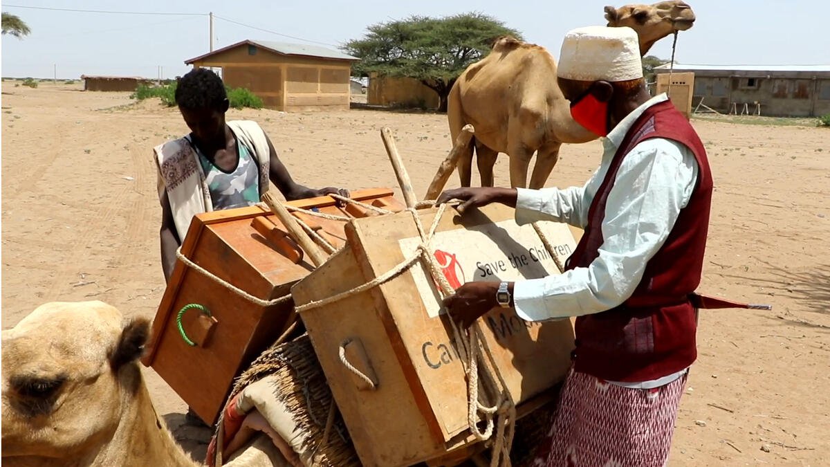 How a Camel Library in Ethiopia Is Helping Kids Forced Out of School By ...