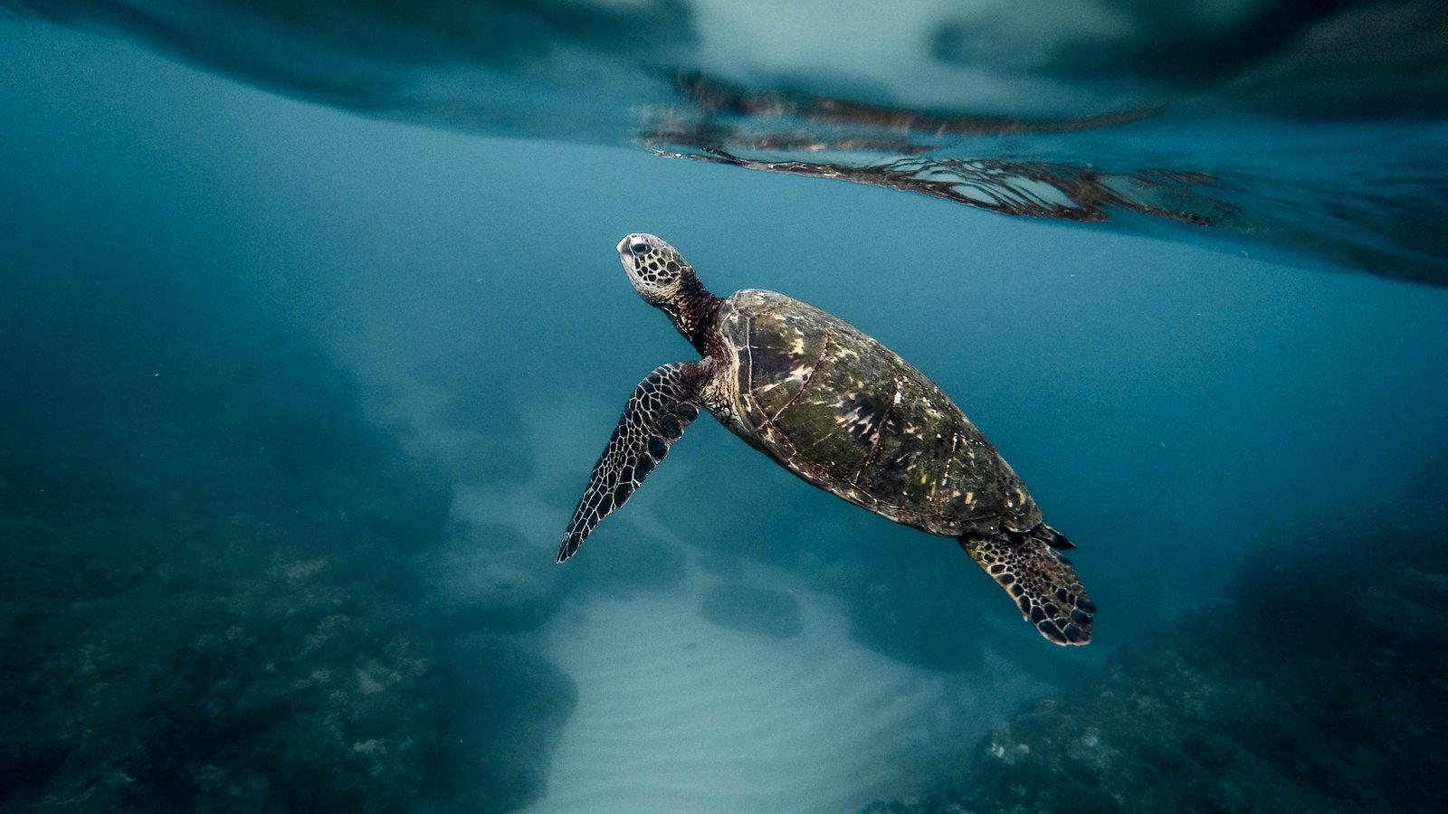 What Does Climate Change Mean For A Coastal African Country Like South Africa 