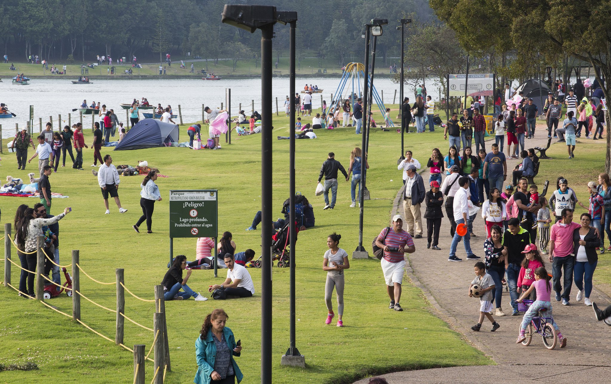 8 Ways Cities Are Fighting Climate Change & Environmental Decay