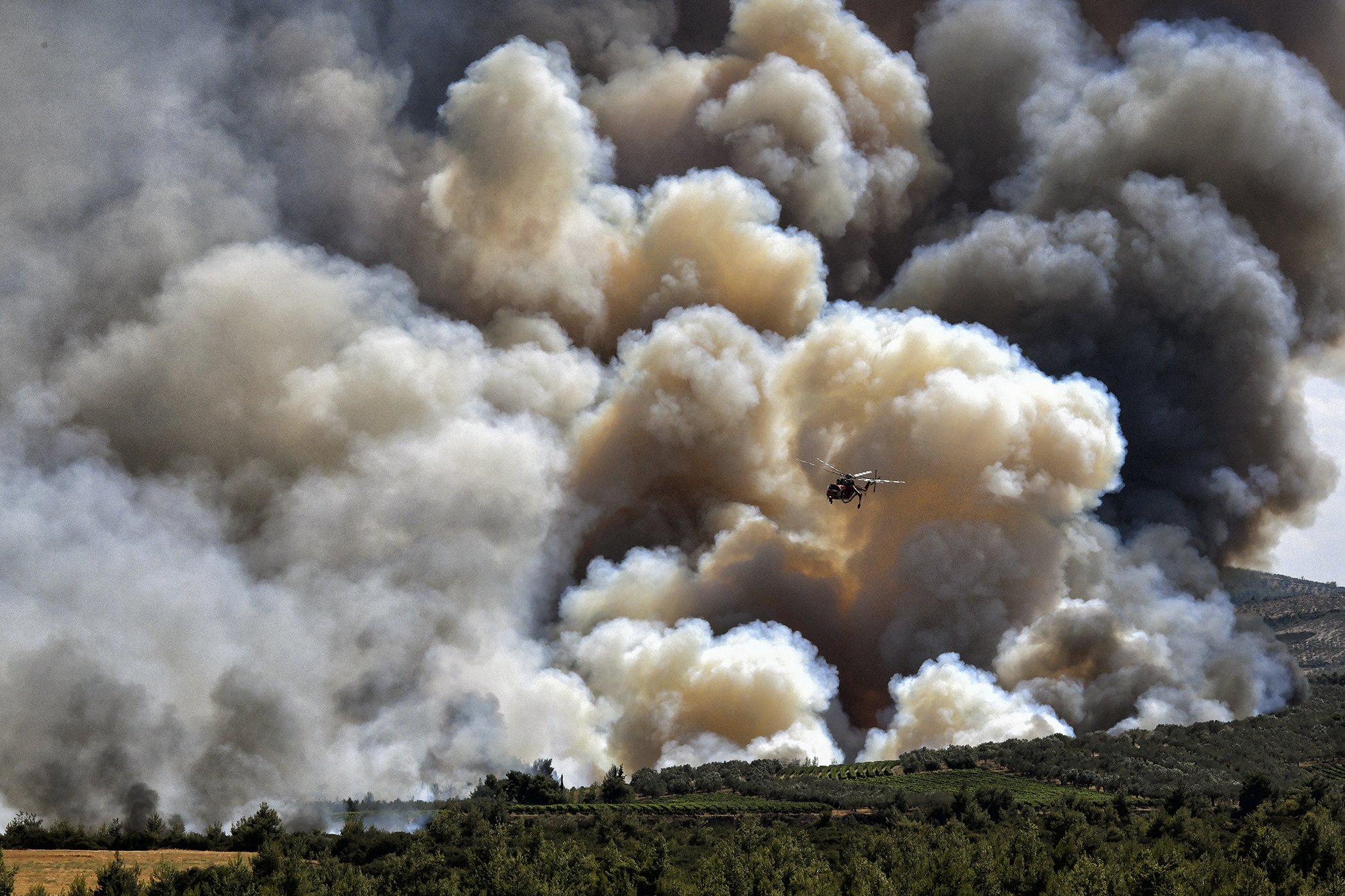 Global-Extreme-Weather-2021-Climate-Change-Grece-Wildfires.jpg