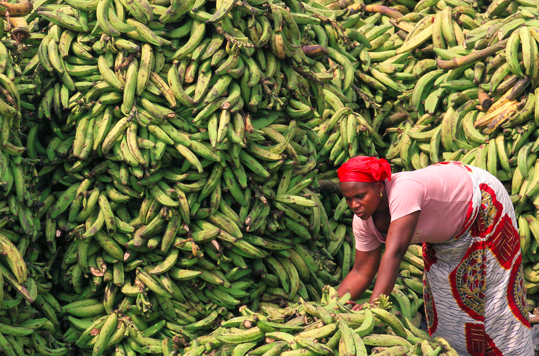 Screen Shot 2020-02-07 at 3.32.29 PM.png