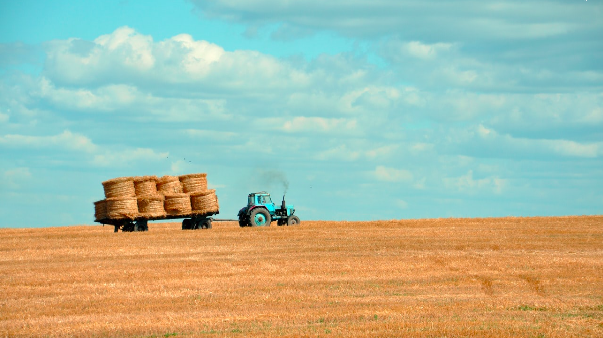 Here s What It Will Take To Feed 10 Billion People By 2050
