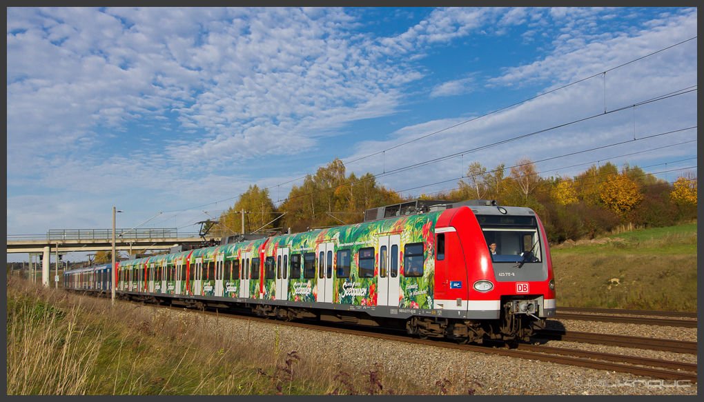 Germany Is Planning Free Public Transit to Fight Air Pollution