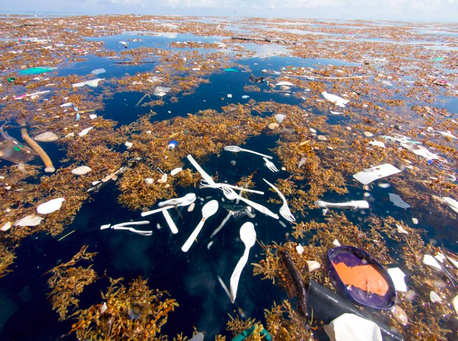 Shocking Photos Show Extent of Plastic Pollution in Caribbean