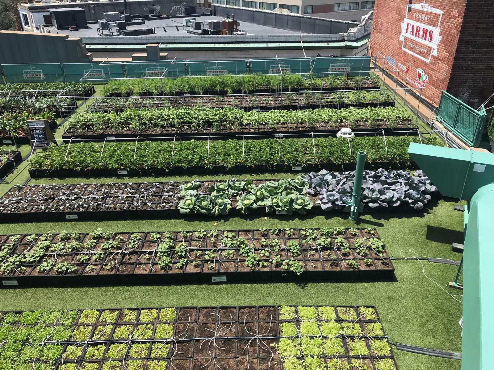 14 Restaurants Around the World Doing Incredible Things for Sustainability