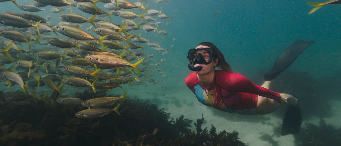 Australian Model and Environmentalist Laura Wells Talks Ocean Conservation and Great Reef Census - Vimarsana News