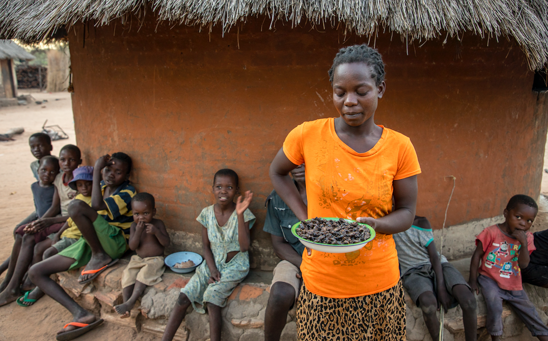 Food Aid in Zimbabwe Could Run Out by End of February