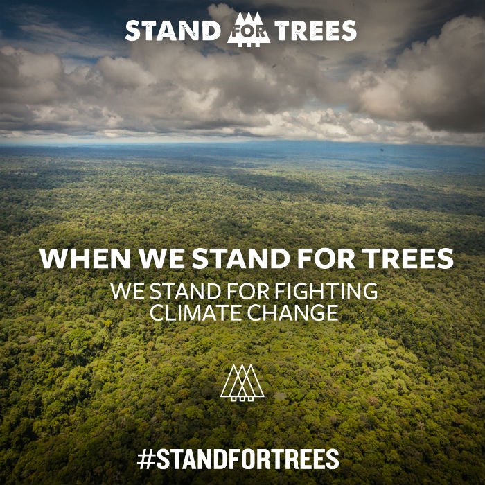 My New Year’s Resolution In 2016, I will stand for trees