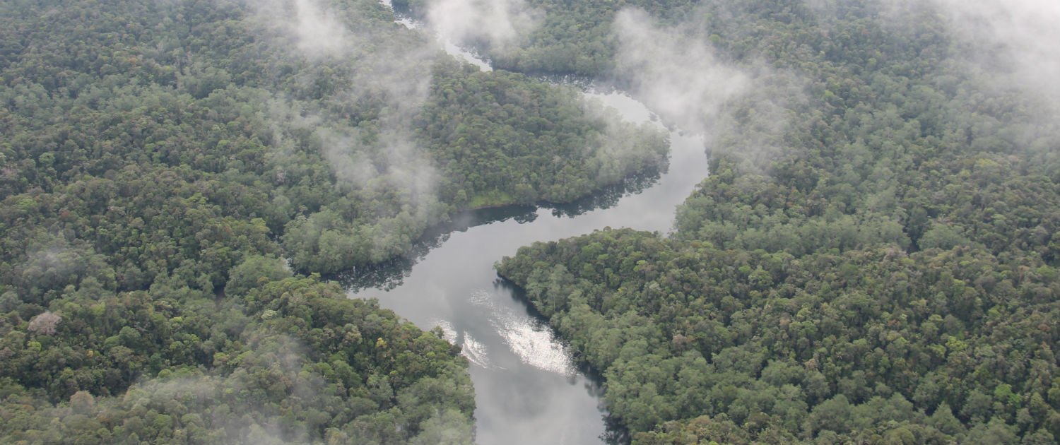Putting the power of change into the hands of young people StandForTrees