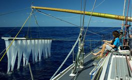 Image result for Device to Clean Up Great Pacific Garbage Patch Will Soon Be Deployed