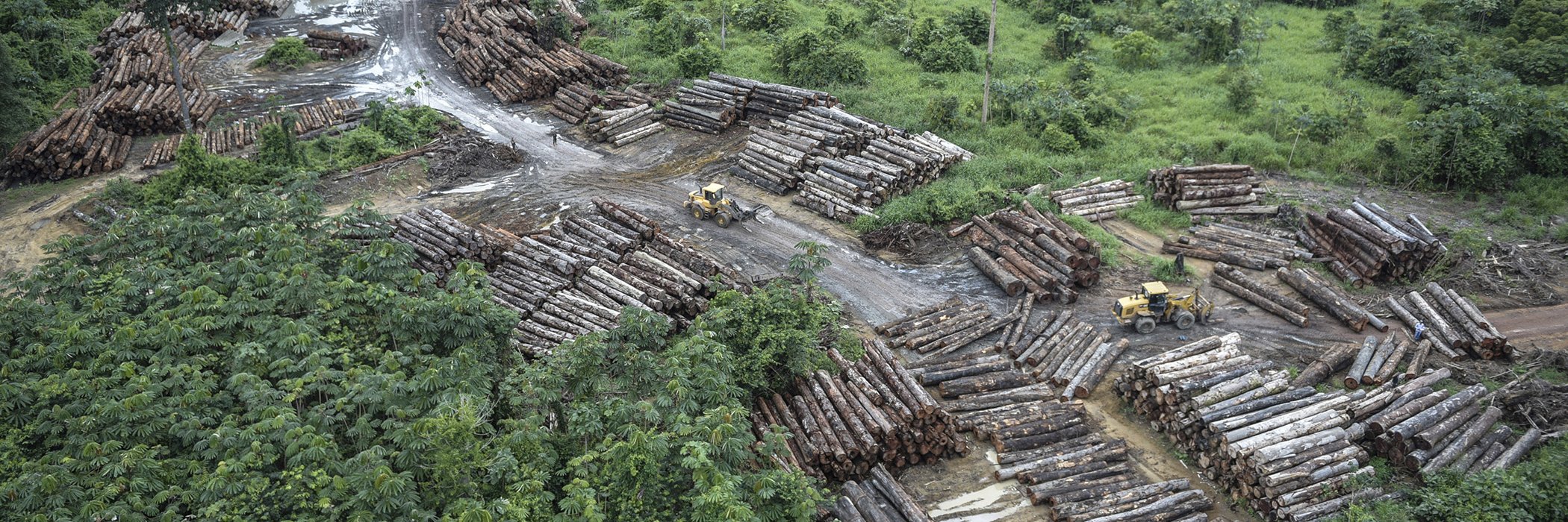 Brazil-Deforestation-Jair Bolsonaro-Environment.jpg