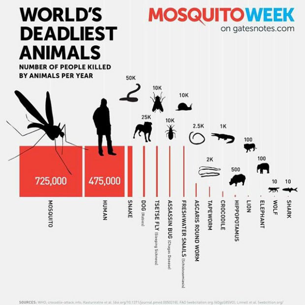 7 surprising things that are killing us all