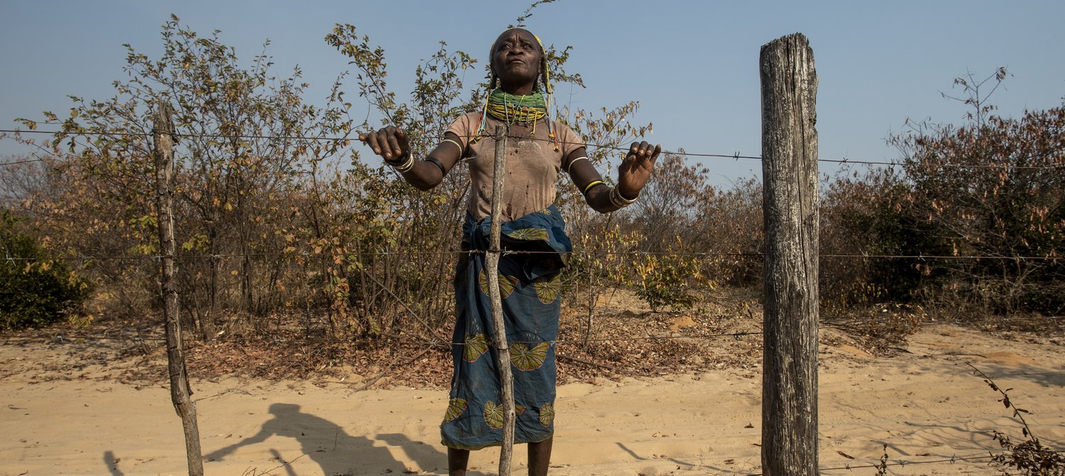 Angolan Government Must Address Food Insecurity, Amnesty International