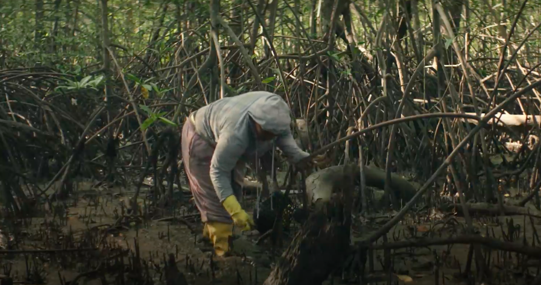 This Beautiful Short Film Shows How Personal Climate Change Is