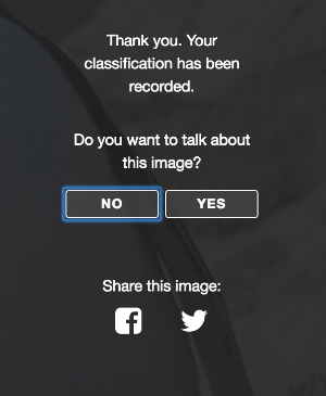 do you want to talk about your image.png