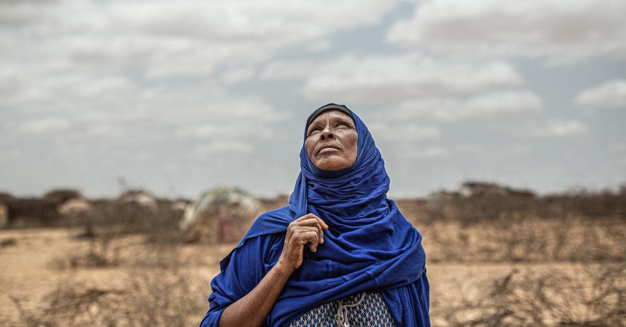 World Leaders End The Global Food Crisis